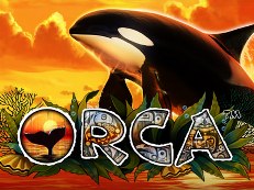 orca gokkast