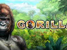 Gorilla gokkast